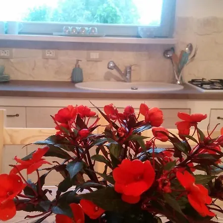 Le Casette Di Nonno Aldino *