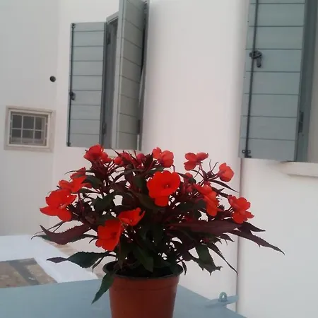 Casa vacanze Le Casette Di Nonno Aldino *